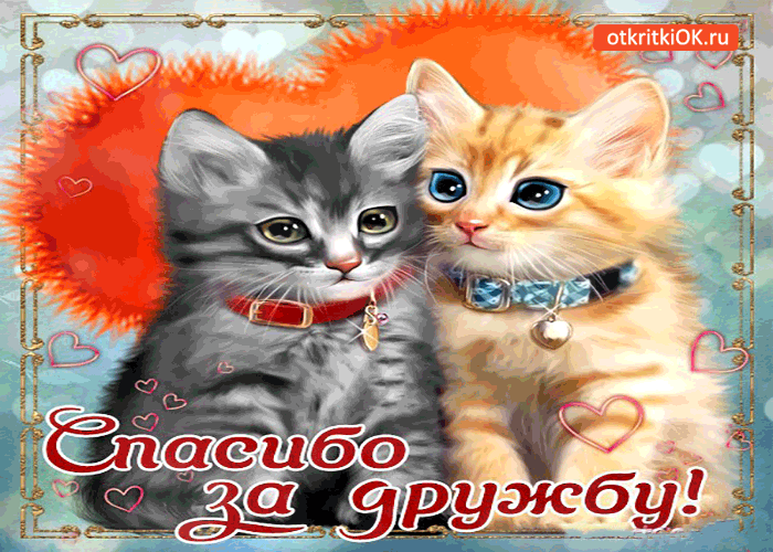 Открытка Открытки о дружбе - Открытка с котятами: С Днем дружбы! | Красивая открытка #144
