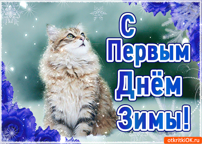 Открытка Первый день зимы - Открытка с котенком на фоне снега | Красивая открытка #6
