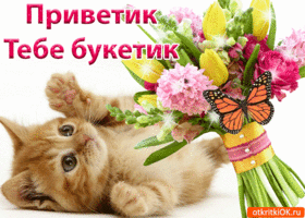Открытка С приветствием - Котенок и цветы: открытка с милым сюрпризом | Красивая открытка #16