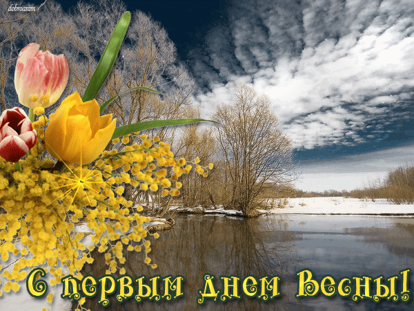 Открытка Первый день весны - Весенняя открытка: тюльпаны, мимоза, пейзаж | Красивая открытка #152