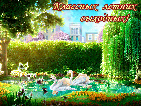 Открытка Хорошего лета - Открытка с лебедями на пруду, цветущий сад | Красивая открытка #32