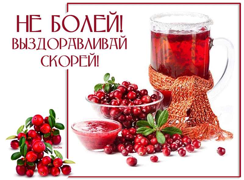 Открытка Выздоравливай - Свежая клюква: сочные ягоды и яркий цвет | Красивая открытка #86