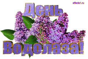 Открытка День водолаза - Открытка с фиалковыми цветами | Красивая открытка #6