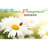 Открытка Открытки с именем Санжар - Открытка: Полевые цветы и божья коровка | Красивая открытка #5