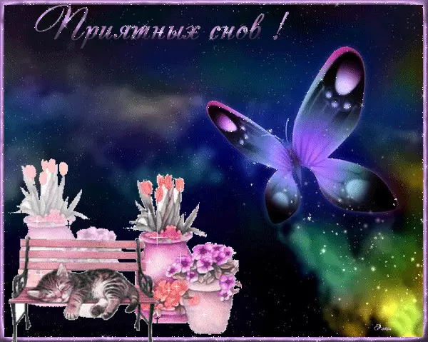 Открытка Открытки с пожеланиями на ночь - Кошка на скамейке с цветами и бабочкой | Красивая открытка #48