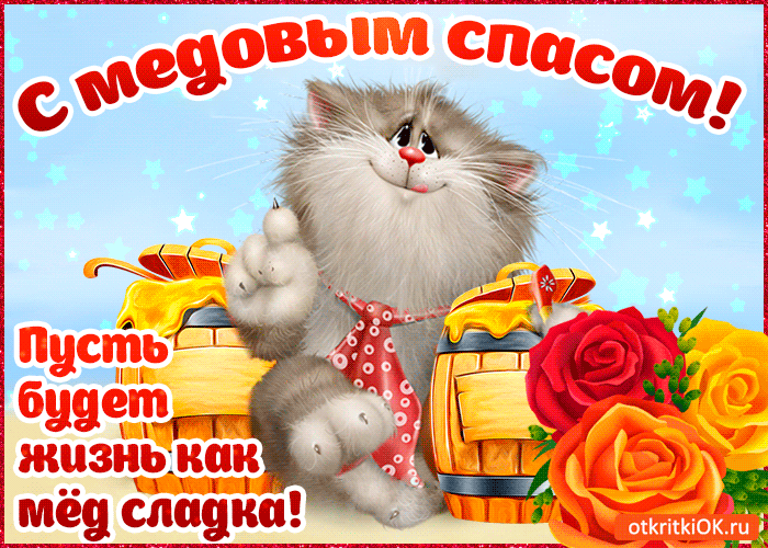 Открытка Открытки с Медовым Спасом - Открытка с милым котенком и цветами | Красивая открытка #61