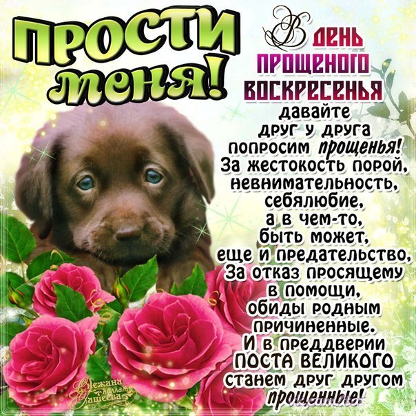 Открытка открытки на прощеное воскресенье  - Открытка с цветами и надписью "Прости" | Красивая открытка #20