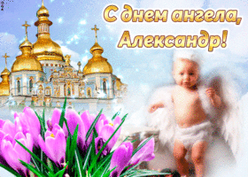 Открытка открытки с именем Александр - Открытка: Малыш-ангел с цветами и храмом | Красивая открытка #251