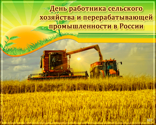 Открытка День работников сельского хозяйства - Уборка урожая: открытка с комбайном и полем | Красивая открытка #15