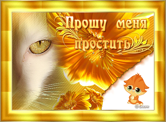 Открытка Прощённое воскресенье - Открытка с котиком и цветами | Красивая открытка #62