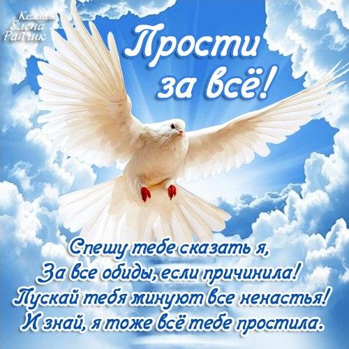 Открытка открытки на прощеное воскресенье  - Белый голубь на фоне неба. Открытка. | Красивая открытка #4