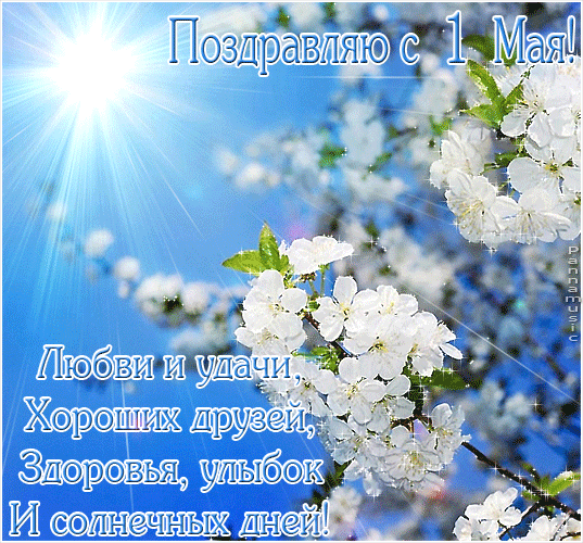 Открытка 1 мая - Открытка с цветами на фоне голубого неба | Красивая открытка #44