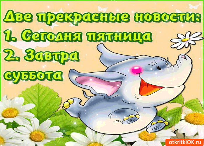 Открытка Открытки на субботу - Симпатичная открытка с детенышем слона и цветами | Красивая открытка #34