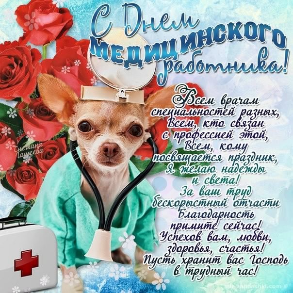 Открытка День медицинского работника - Открытка с днем медработника: цветы и собака | Красивая открытка #100