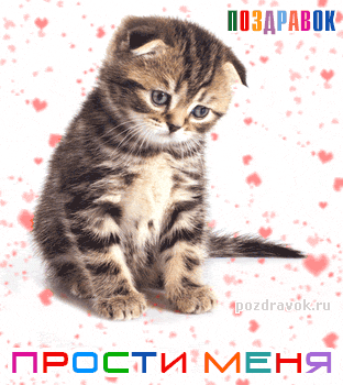 Открытка открытки с извинениями  - Котенок на открытке: милый подарок с днем рождения | Красивая открытка #99