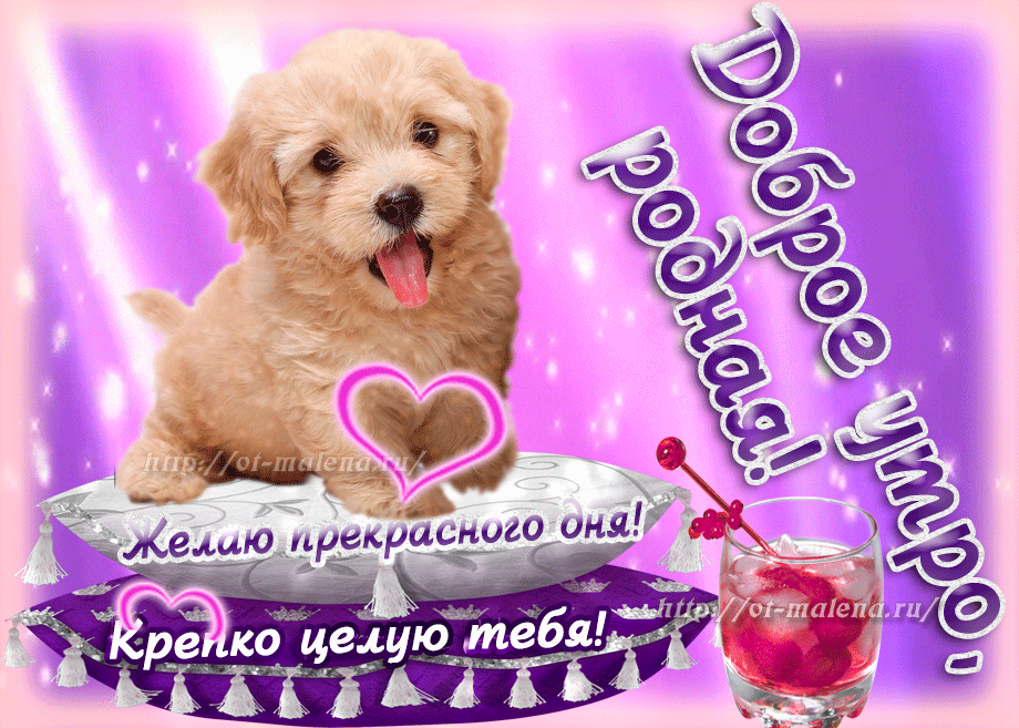 Открытка Открытки целую - Открытка с щенком, цветы, шампанское | Красивая открытка #52