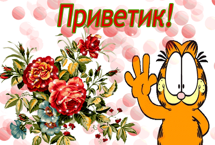 Открытка Привет - Открытка с Гарфилдом и цветами | Красивая открытка #32