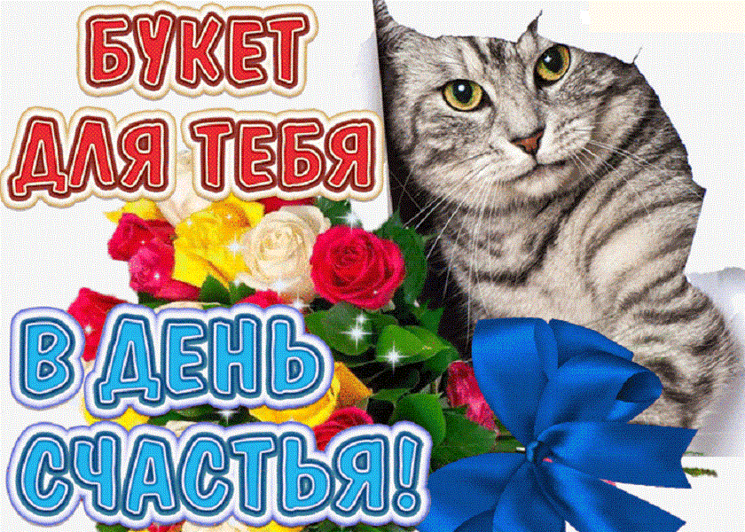 Открытка с днём счастья - Открытка: кот с букетом цветов | Красивая открытка #37