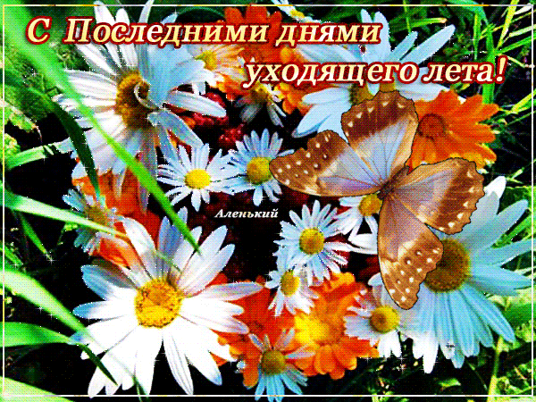Открытка С последним днем лета! - Открытка с полевыми цветами и бабочкой | Красивая открытка #17