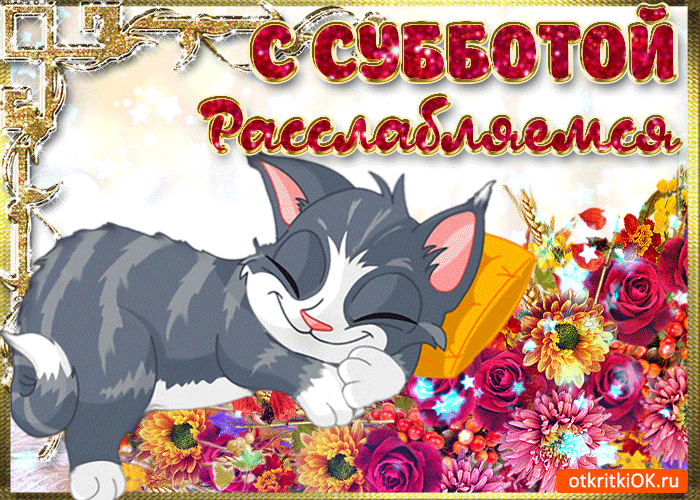 Открытка С субботой - Открытка с котиком: розы, цветы, поздравления | Красивая открытка #37