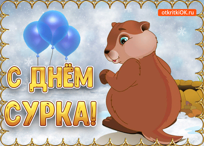 Открытка День сурка - Открытка с сурком: С днем рождения! | Красивая открытка #13