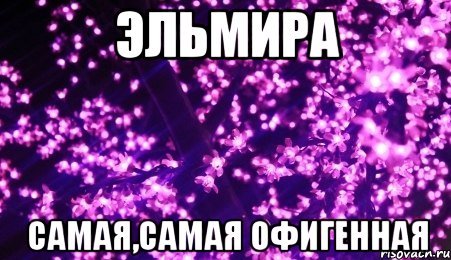 Открытка открытки с именем Эльмира - Фиолетовые цветы, нежная открытка | Красивая открытка #10