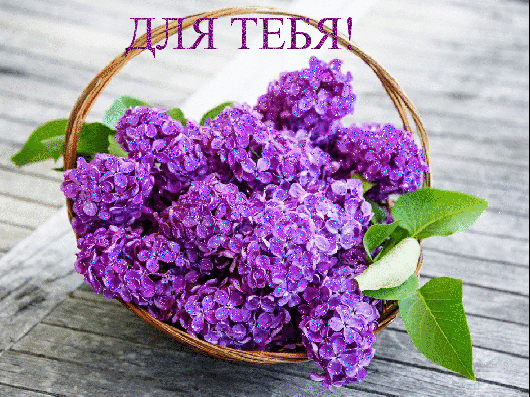 Открытка С сиренью - Сиреные цветы в корзине на деревянном фоне | Красивая открытка #41