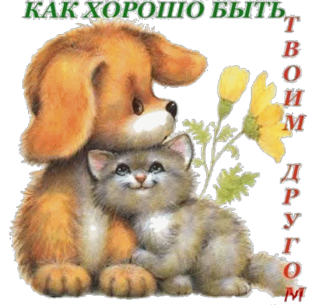 Открытка О дружбе - Открытка: котенок и кролик под цветком | Красивая открытка #22