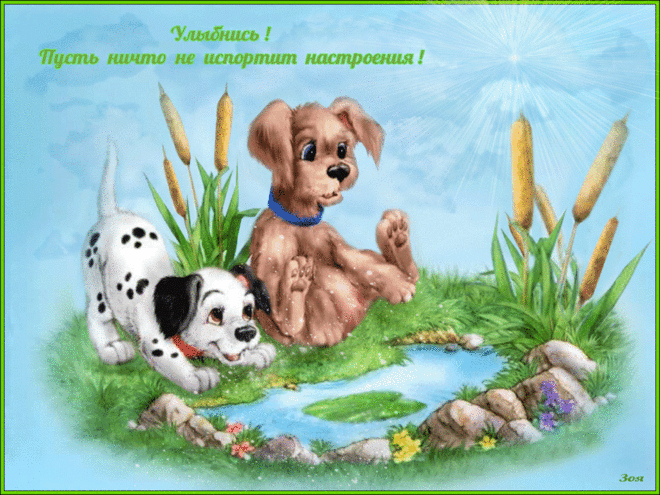 Открытка Улыбнись - Две щенка у пруда: открытка с собачками | Красивая открытка #223