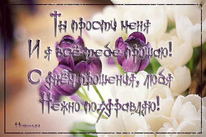 Открытка Открытки с Прощеным Воскресеньем - Открытка с фиалками и белыми цветами | Красивая открытка #47