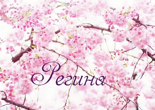 Открытка открытки с именем Регина  - Цветущая вишня: нежные розовые цветы | Красивая открытка #9