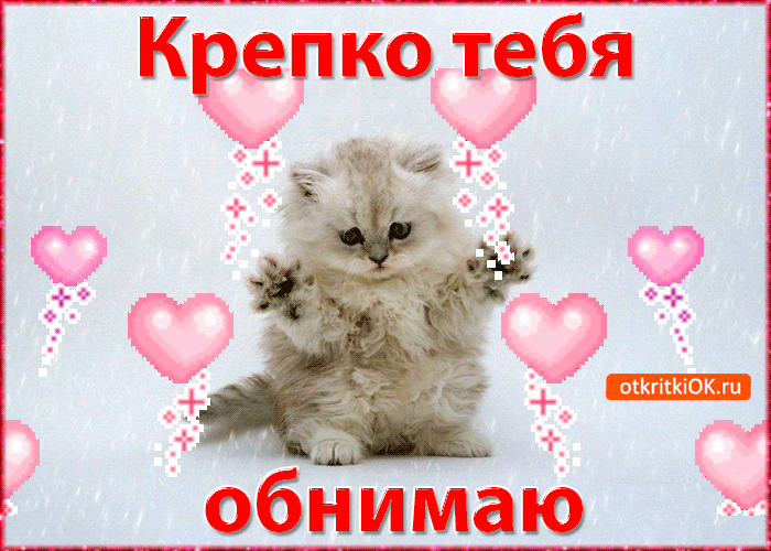 Открытка Обнимаю - Открытка с котенком: милая картинка для тебя | Красивая открытка #2