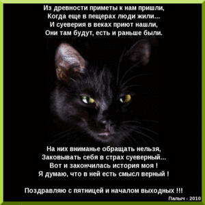 Открытка Открытки на пятницу 13 - Открытка с черным котом  поздравления с пятницей | Красивая открытка #152