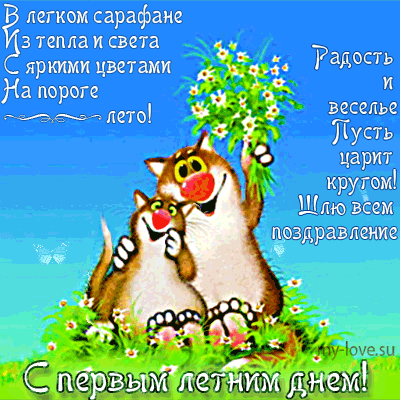 Открытка С первым днём лета - С Днем Победы! Рыжий кот с цветами  открытка | Красивая открытка #31