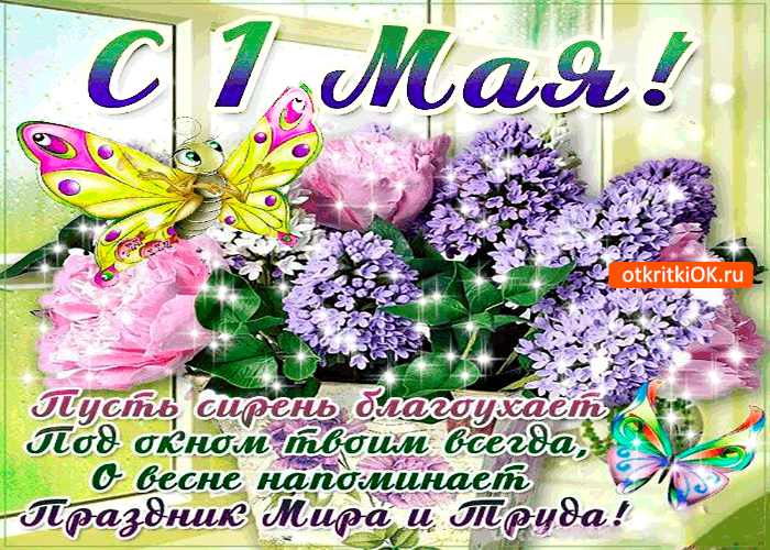Открытка С сиренью - Открытка с фиалками и бабочками  С Днем! | Красивая открытка #49