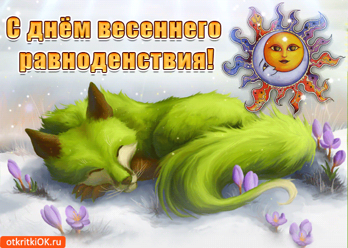 Открытка Открытки с днем весеннего равноденствия - Котенок и солнце: открытка с цветами | Красивая открытка #5