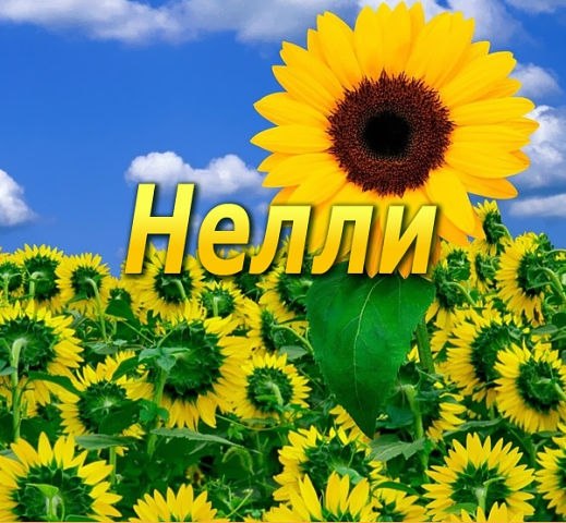 Открытка открытки с именем Нелли  - Поле подсолнухов: яркая открытка с солнцем | Красивая открытка #7