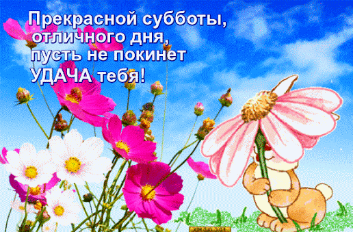 Открытка Открытки на субботу - Зайчик с цветком: Красивая открытка с цветами | Красивая открытка #60