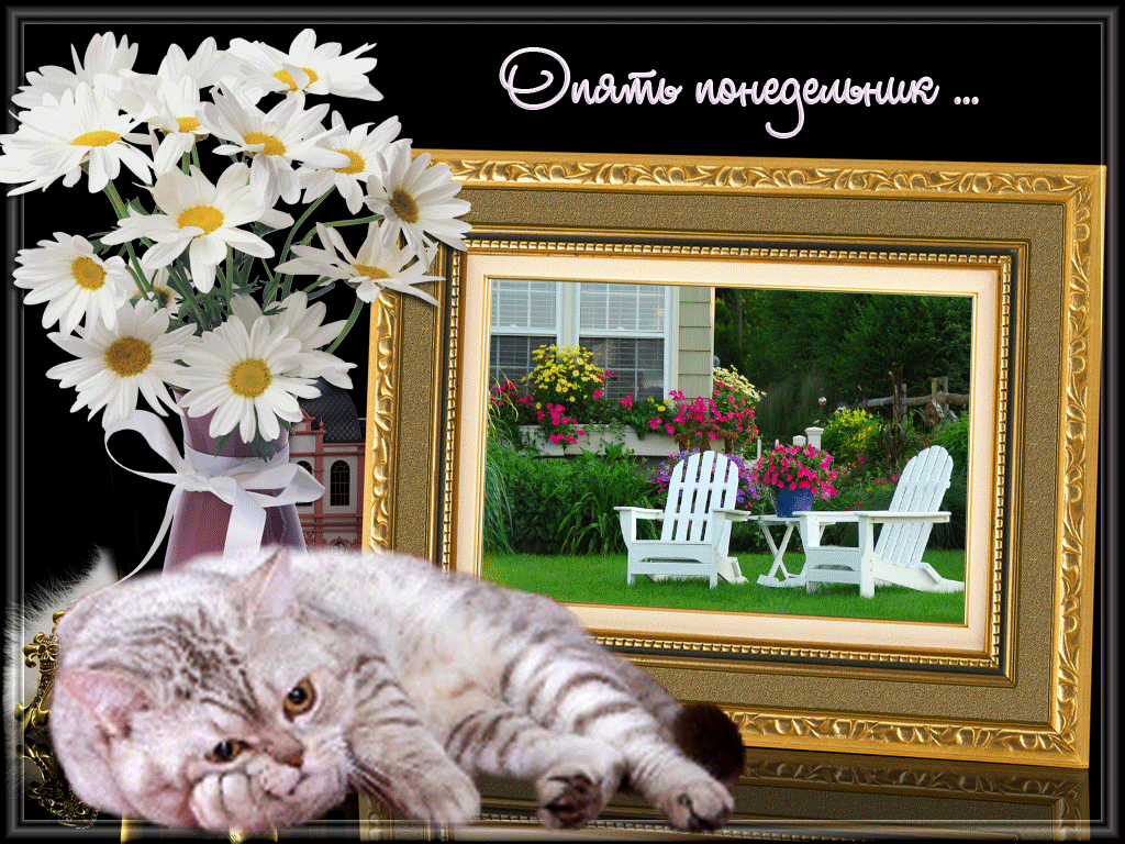 Открытка Открытки на понедельник - Открытка: сад, цветочный фон, белые стулья | Красивая открытка #41