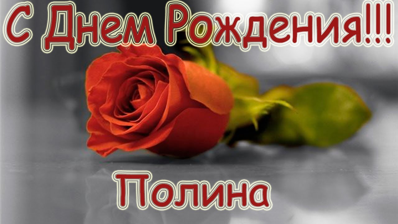 Открытка открытки с именем Полина - Красная роза на сером фоне | Красивая открытка #22