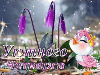 Открытка Открытки на четверг - Открытка с фиалками и птичкой | Красивая открытка #117