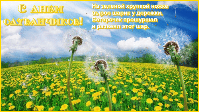 Открытка С одуванчиками - Поле с одуванчиками и горами | Красивая открытка #6