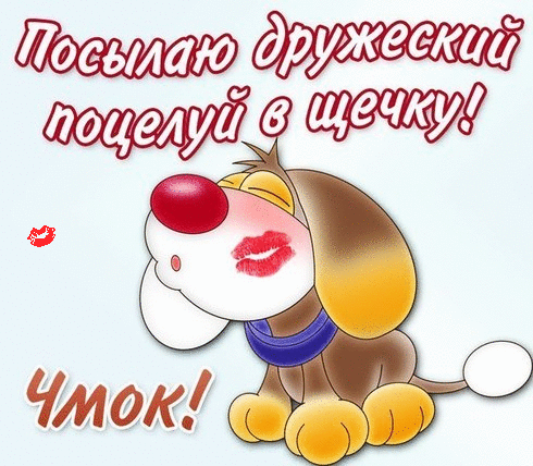 Открытка Открытки целую - Открытка с щенком: милый подарок с любовью | Красивая открытка #232