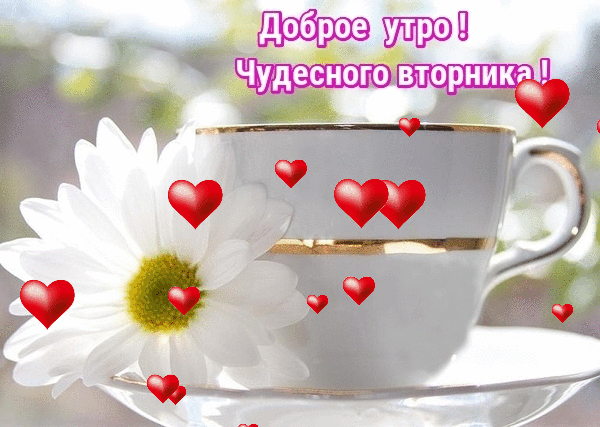 Открытка Открытки на вторник - Открытка с чаем и цветами | Красивая открытка #21