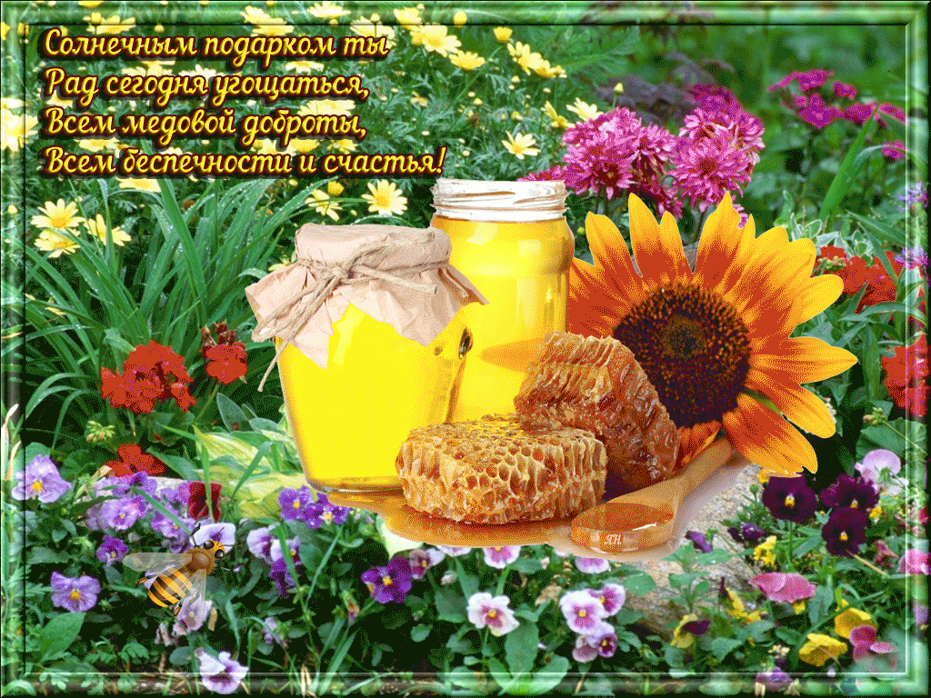 Открытка Медовый спас - Открытка с медом и цветами: солнце, пчелы, радость | Красивая открытка #366