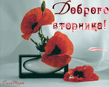 Открытка Открытки на вторник - Открытка с красными маками в вазе | Красивая открытка #167