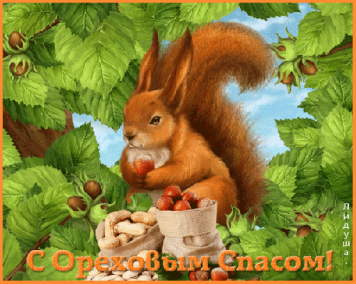 Открытка Открытки с Ореховым Спасом - Белка с ягодами: открытка с добрым лесом | Красивая открытка #24