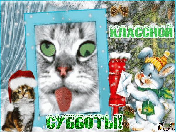 Открытка Открытки на субботу - Открытка: Кошка и зайчик в новогодней сказке | Красивая открытка #78