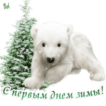 Открытка открытки с первым днем зимы  - Милый белый медвежонок на фоне ели. Открытка снегом | Красивая открытка #92