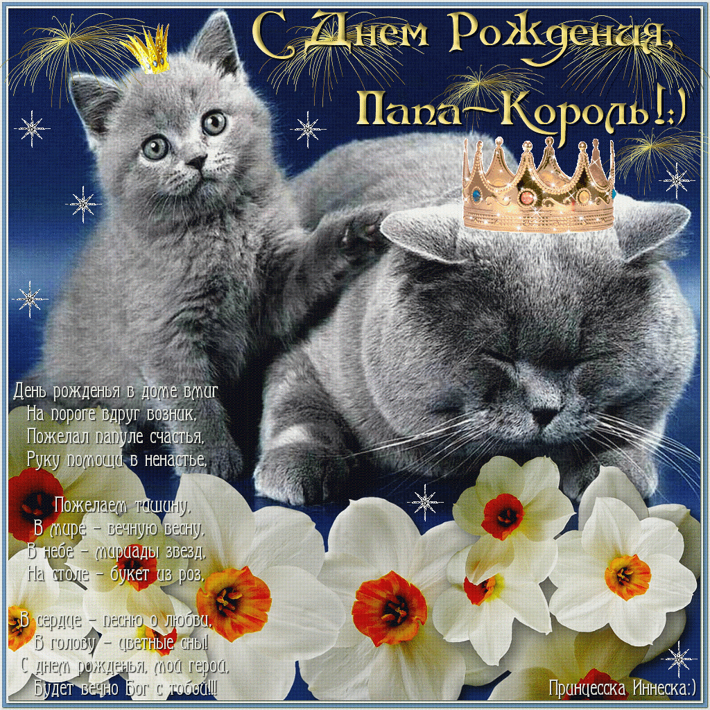 Открытка С днем рождения для папы - Открытка с котом в короне: С Днём Рождения! | Красивая открытка #27